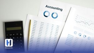 اهداف حسابداری دولتی چیست