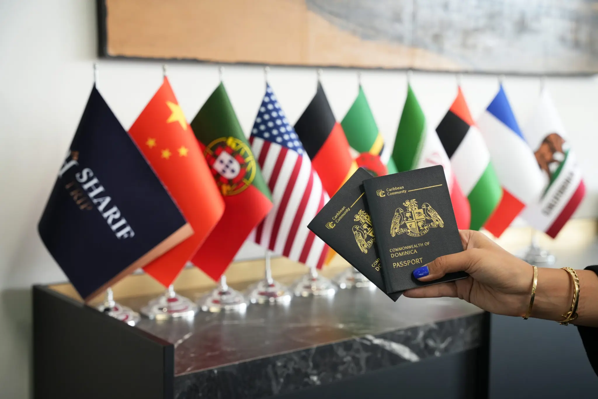 تصاویر شرکت ها